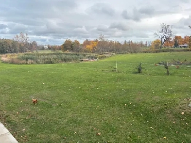 AIRPORT RD AND HIGHWAY 9 BASEMENT APARTMENT FOR RENT IN CALEDON Image# 1