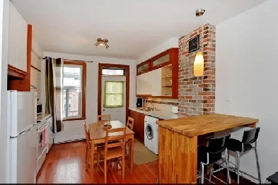 Plateau Mont-Royal – Mile End 4 1/2 rénové/renovated Image# 1