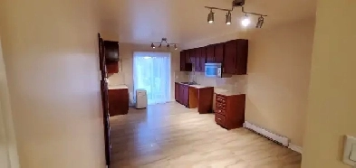 Grand 5 1/2 a louer Image# 1