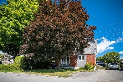 Intriguing Isaac-Big Bright Basement one Bedroom in Gatineau Image# 8