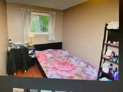 Main floor  Furnished room 850 Meters to Rundle Station Image# 1