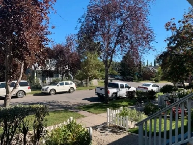 Lovely Basement Suite Available- Inglewood Image# 5