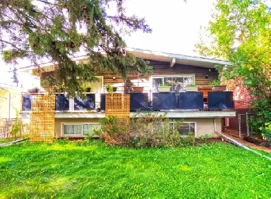 Bright 2 Bedroom Basement Suite Next to Mill Creek Ravine Image# 1