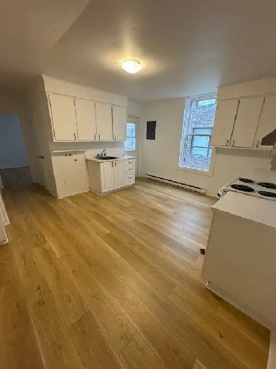 4.5 Lachine à louer appartement 4 1/2 montreal for rent Image# 1