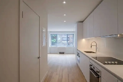 renovated studio apartment near McGill and JMSB - ID 1134 Image# 1