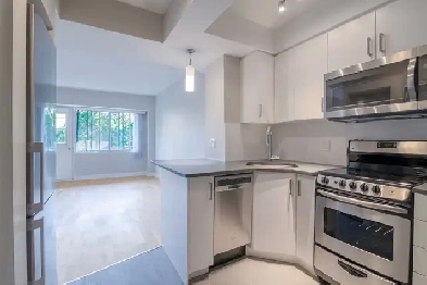 renovated one bedroom apartment near McGill - ID 4168 Image# 1