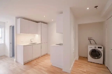 renovated Studio Plateau /blvd Saint-Laurent - ID 2028 Image# 1