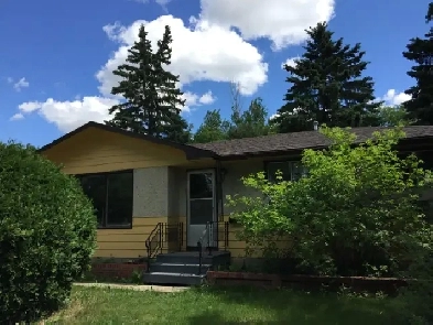 November 1st available Image# 1