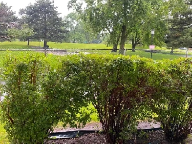 TORONTO CONDO 4 RENT CORNER GROUND LEVEL W/PATIO/BACKYARD $3050 Image# 1