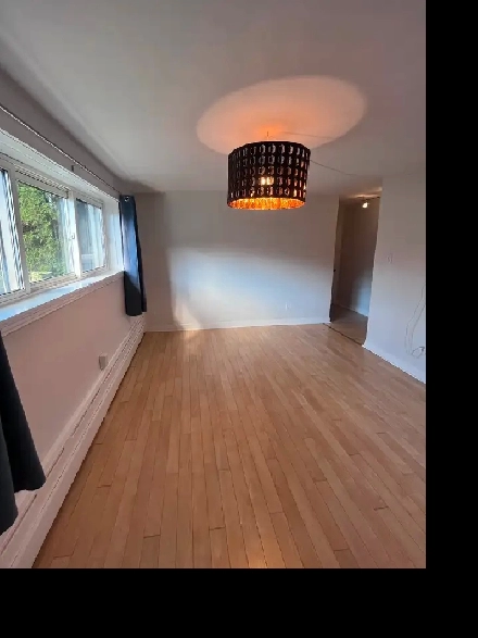 For rent: 2 bed 1 bath with parking Image# 1