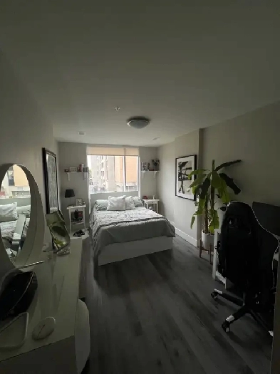 one bedroom apartment Image# 4