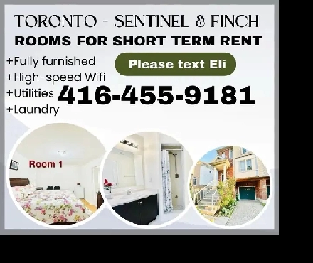 Toronto daily rent room Image# 1