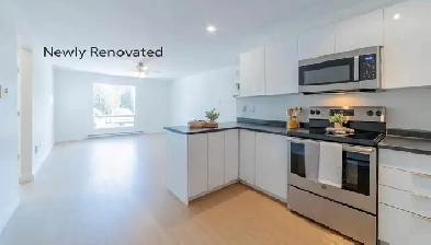 BEAUTIFUL NEW 2BD -Dog Friendly-Available November 15th-$1595 Image# 1