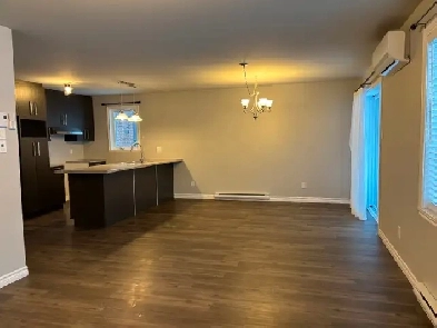 4 1/2 À LOUER (ST-DENIS-DE-BROMPTON) Image# 3