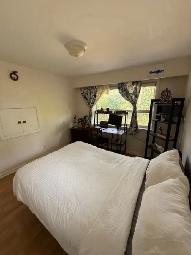 Bright Room For Rent Near Finch Station Image# 1