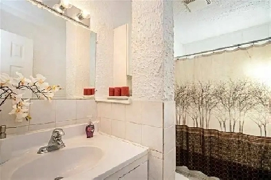 Cheap Motel like Room Available Immediately. Image# 1