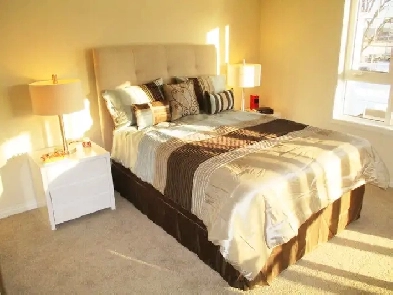 Hamlet – Luxury 2 Bedroom / 2 Bathroom Rental Apartment Image# 1