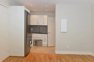 Renovated studio, Church and Wellesley - ID 2736 Image# 1