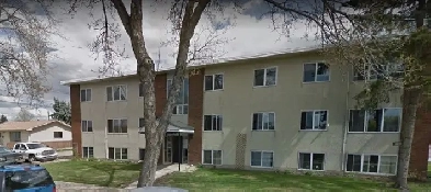 Quiet Adult Building, 1 Bed 1 Bath Image# 1