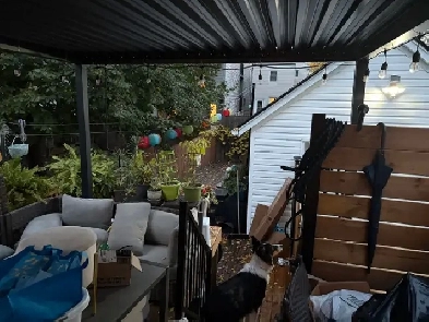 Private room for rent in Little Italy Image# 3