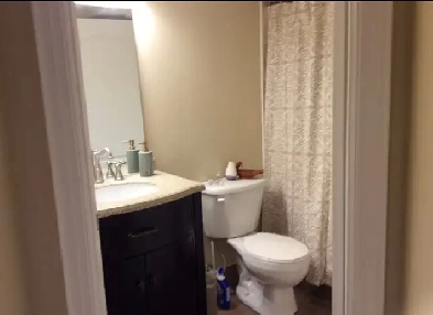 Aurora/Newmarket Bachelor Basement Image# 1