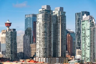 STOP DRIVING. START HOMEOWNING. Image# 2