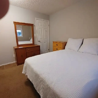 Room for Female in West Edmonton Image# 1