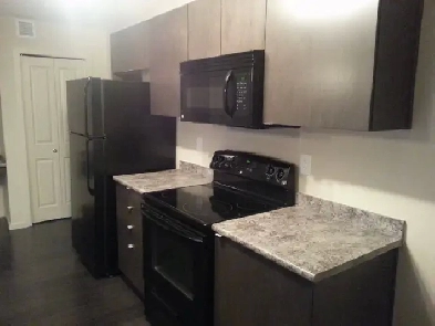 Apartment for rent Image# 1