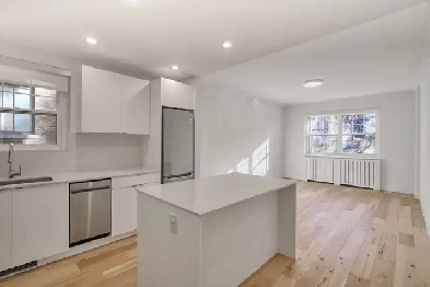 newly renovated 3.5 for Dec 1, Snowdon, CDN - ID 3013 Image# 1