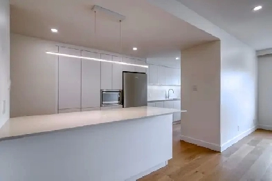 renovated three-bedroom apartment near Guy-Concordia - ID 4155 Image# 1