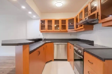 one-bedroom apartment Near Concordia - ID 4156 Image# 1