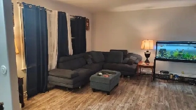 One bedroom available,  spacious five bedroom hou Image# 1