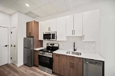 BRAND NEW 1 Bedroom Apartment! In The Heart of Downtown! Image# 2