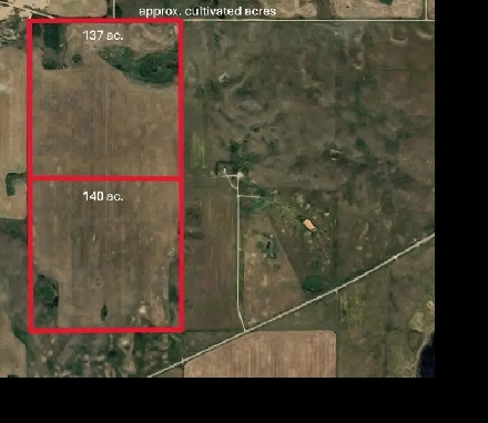 Land for Sale by Tender - R.M. of Grandview No. 349 Image# 2