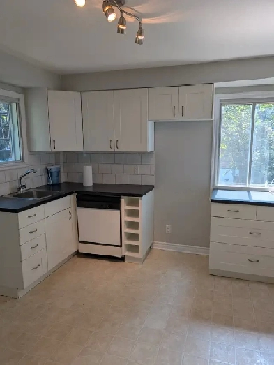 Grand 4 1/2 avec balcon, terrasse, jardins, Montreal Image# 1