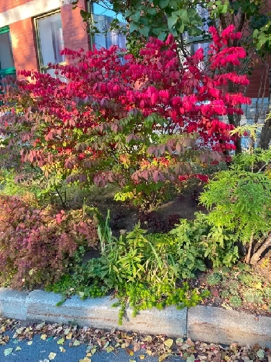 studio à louer dans une coop d'habitation Image# 1