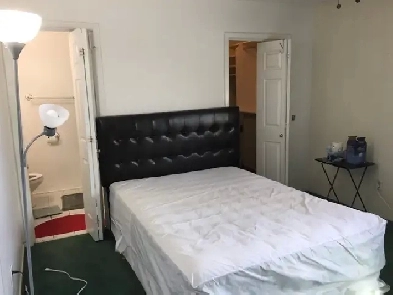 Bright Master Bedroom Near O-Train, Plaza, & Carleton U，Southkey Image# 5