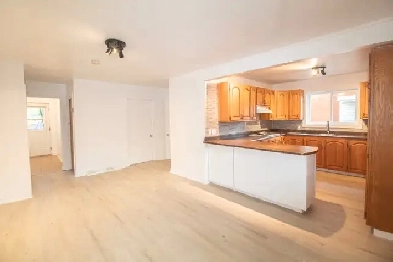 Magnifique 5 1/2   Sous-sol à louer Trois-Rivières Image# 9