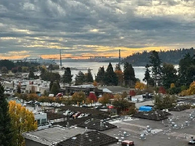 one bedroom for rent Image# 1