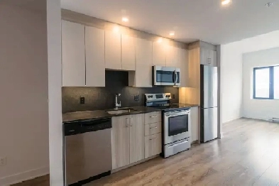 appartement d'une chambre au Plateau/Mile end - ID 2189 Image# 1