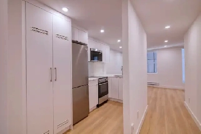 modern one-bedroom apartment near Concordia - ID 1464 Image# 1