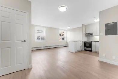 Renovated 2-bedroom apartment for rent, ByWard Market - ID 4192 Image# 1