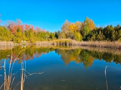 131 acre farm/estate property for sale Image# 30