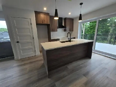 6 1/2 - sur 2 étages - Duplex - 3613 rue Maude Abbott Image# 1