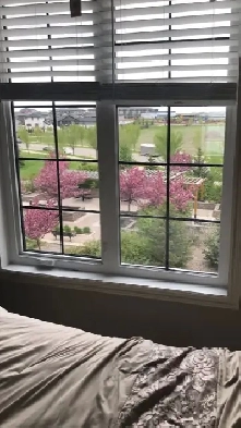 Luxury Condo in Harbour Landing for RENT Image# 1