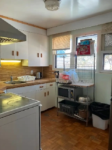 Cozy Room for Rent in Basement Suite–University of Manitoba Image# 4