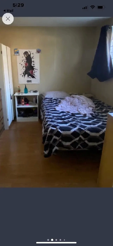 Small basement suite Meadow Green Saskatoon Image# 1