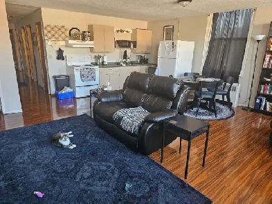 Downtown Mitchell – Spacious 2-Bedroom Apartment for Rent Image# 1