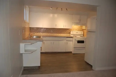 2 Bedroom Basement near LRT Image# 1