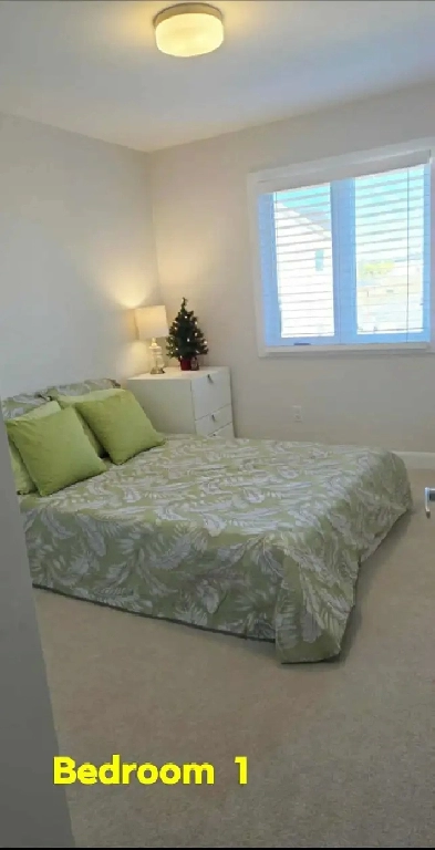 For Rent 1 Beautiful Clean Bedroom in Finlay Creek Image# 5